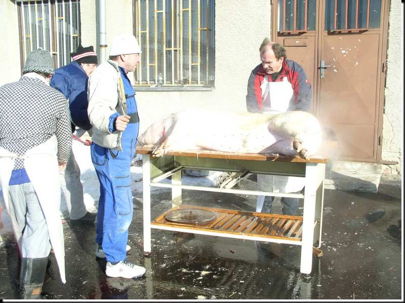 Foto_003.jpg